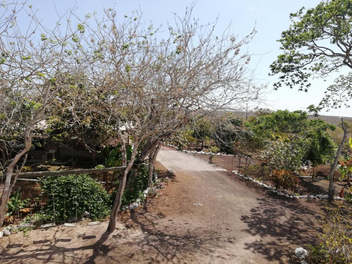 Cucuve Eco Hostal Puerto Baquerizo Moreno Εξωτερικό φωτογραφία