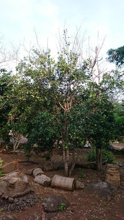 Cucuve Eco Hostal Puerto Baquerizo Moreno Εξωτερικό φωτογραφία