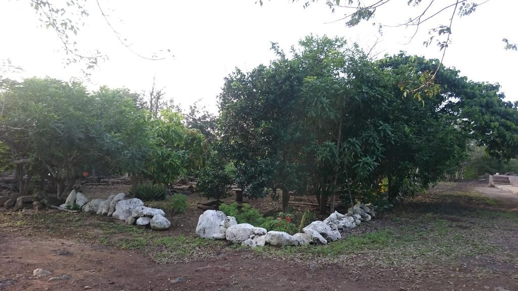 Cucuve Eco Hostal Puerto Baquerizo Moreno Εξωτερικό φωτογραφία