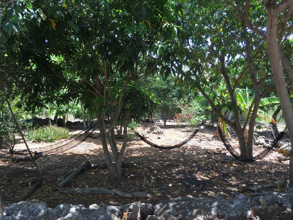 Cucuve Eco Hostal Puerto Baquerizo Moreno Εξωτερικό φωτογραφία